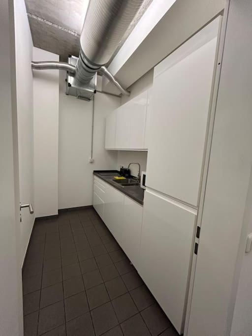 Elbapartment 29 Qm Mit Eigenem Badezimmer Hamburg Exterior foto